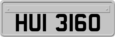 HUI3160