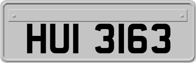 HUI3163