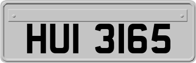 HUI3165