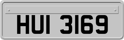 HUI3169