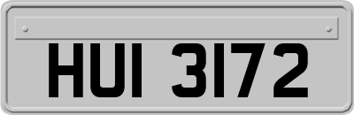 HUI3172