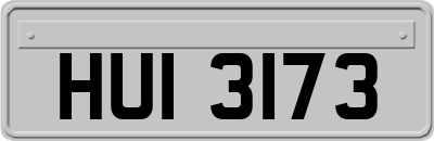 HUI3173