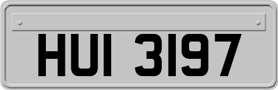 HUI3197