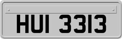 HUI3313