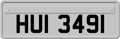 HUI3491