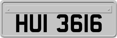 HUI3616