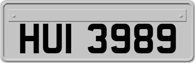 HUI3989