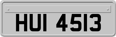 HUI4513