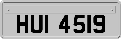 HUI4519