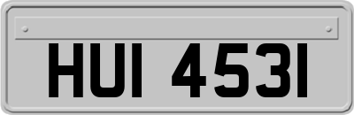 HUI4531