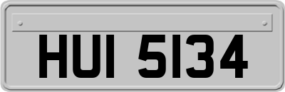 HUI5134