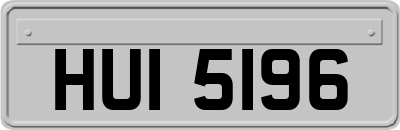 HUI5196