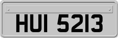 HUI5213