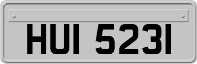 HUI5231