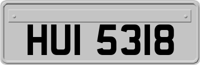 HUI5318