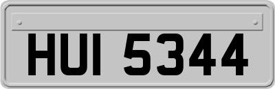 HUI5344