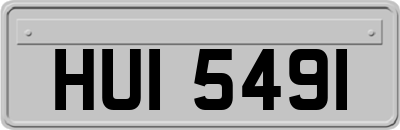 HUI5491