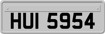 HUI5954