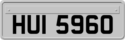 HUI5960