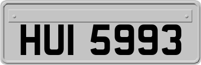 HUI5993