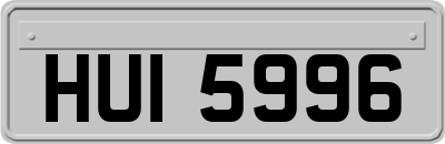 HUI5996