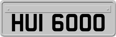 HUI6000