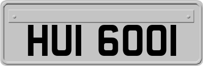 HUI6001