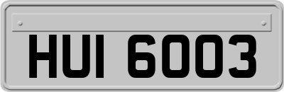 HUI6003