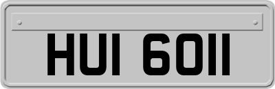 HUI6011