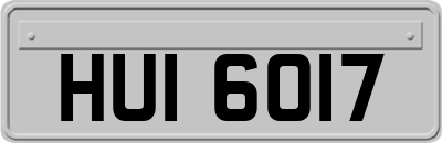 HUI6017