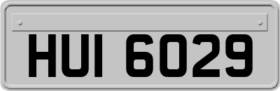 HUI6029