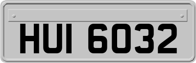 HUI6032