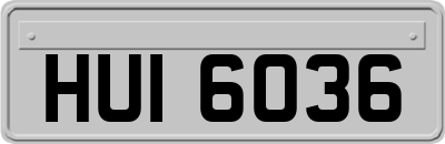 HUI6036