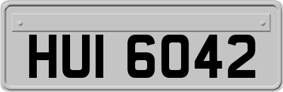 HUI6042