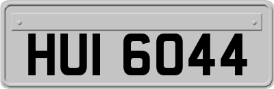 HUI6044