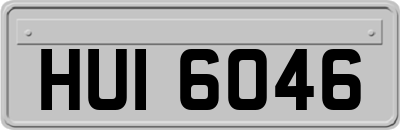 HUI6046