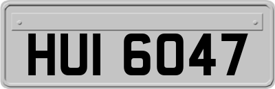 HUI6047