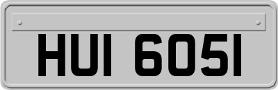 HUI6051