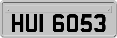 HUI6053