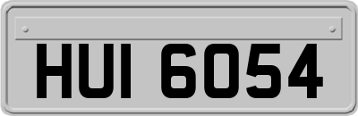 HUI6054