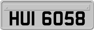 HUI6058