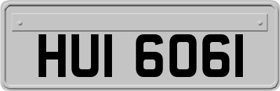 HUI6061