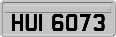 HUI6073