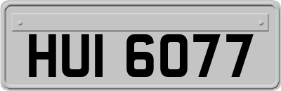 HUI6077