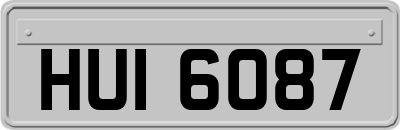 HUI6087