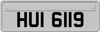 HUI6119