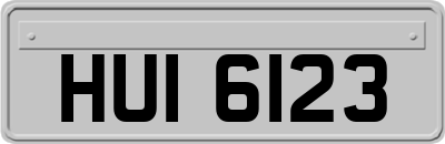 HUI6123