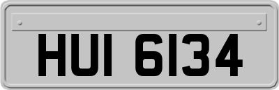 HUI6134