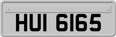 HUI6165