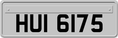 HUI6175